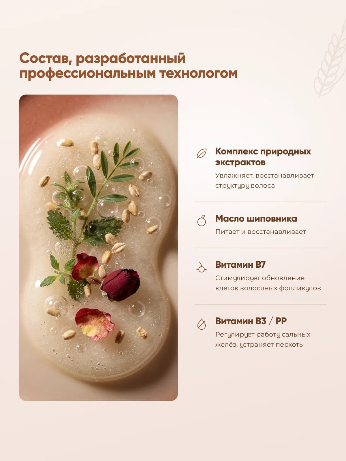 Слайд «Состав»